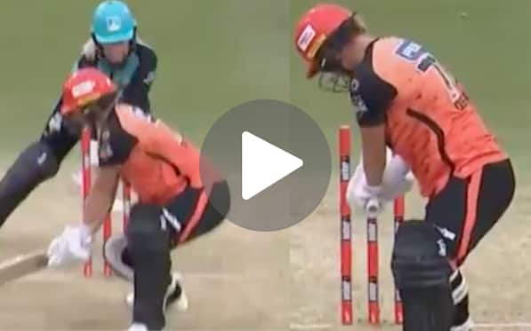 [Watch] South African Pacer Takes World Cup Final Revenge; Knocks Over Sophie Devine With A Perfect Yorker